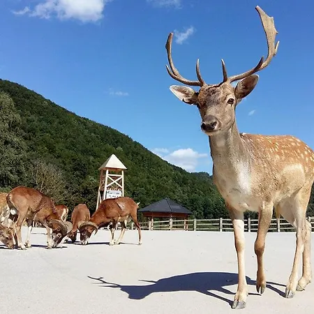 E79 Aqualuna Kamp Natura Card Not Included * Podčetrtek