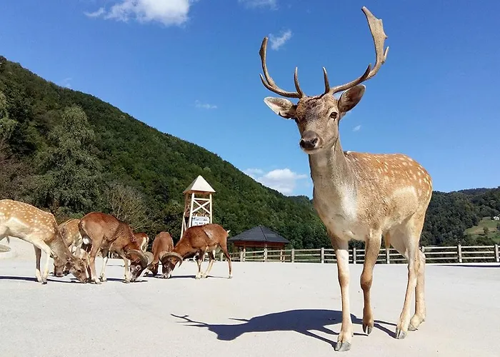 E79 Aqualuna Kamp Natura Card Not Included * Podčetrtek